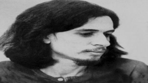 torquato neto